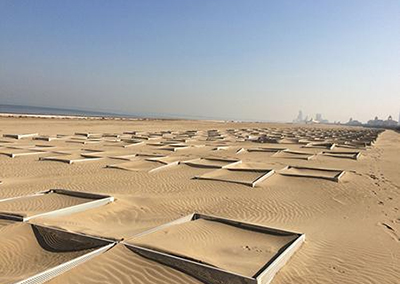 Sand fence for desert