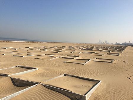 Sand fence for desert