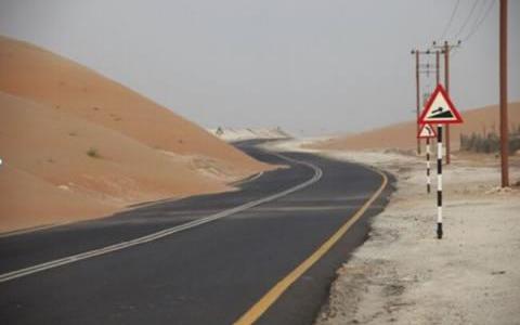 Sand fence for desert